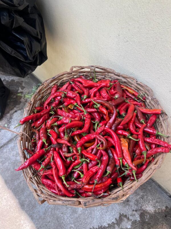 Tatashe/Bawa/Rodo/Dried Pepper - Image 4