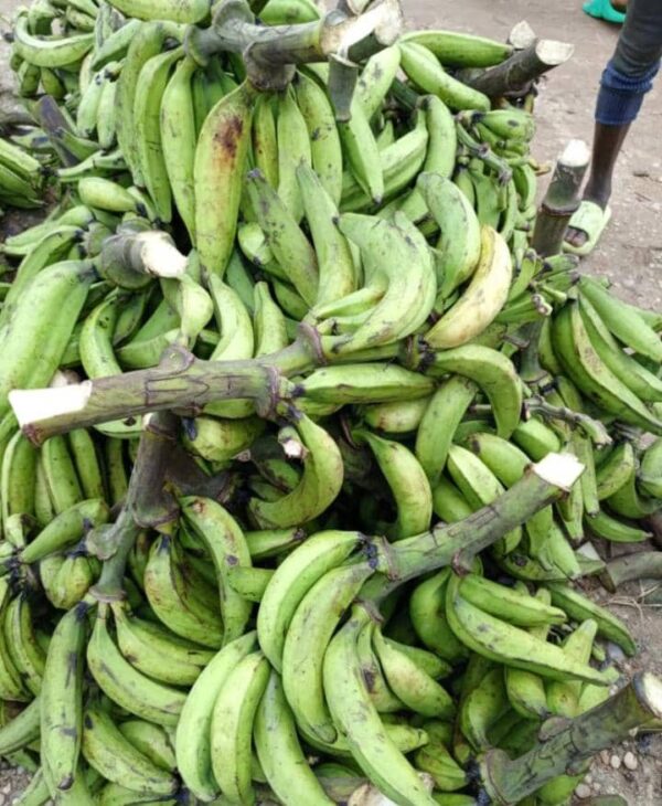 Plantain (Ripe & Unripe) - Image 5