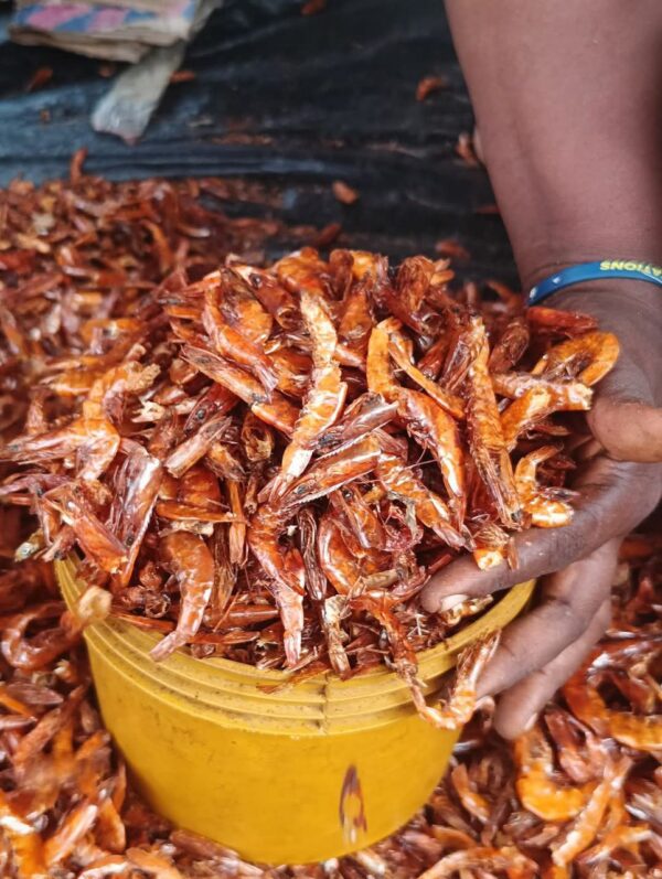 Crayfish